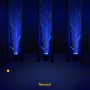 BeamZ LED BBP93 Uplight Par 3x10W RGBW 4-w-1 oświetlacz bateryjny