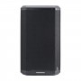 Audiophony Carbon 12 Aktywna kolumna o mocy 1500W RMS DSP CARBONcontrol